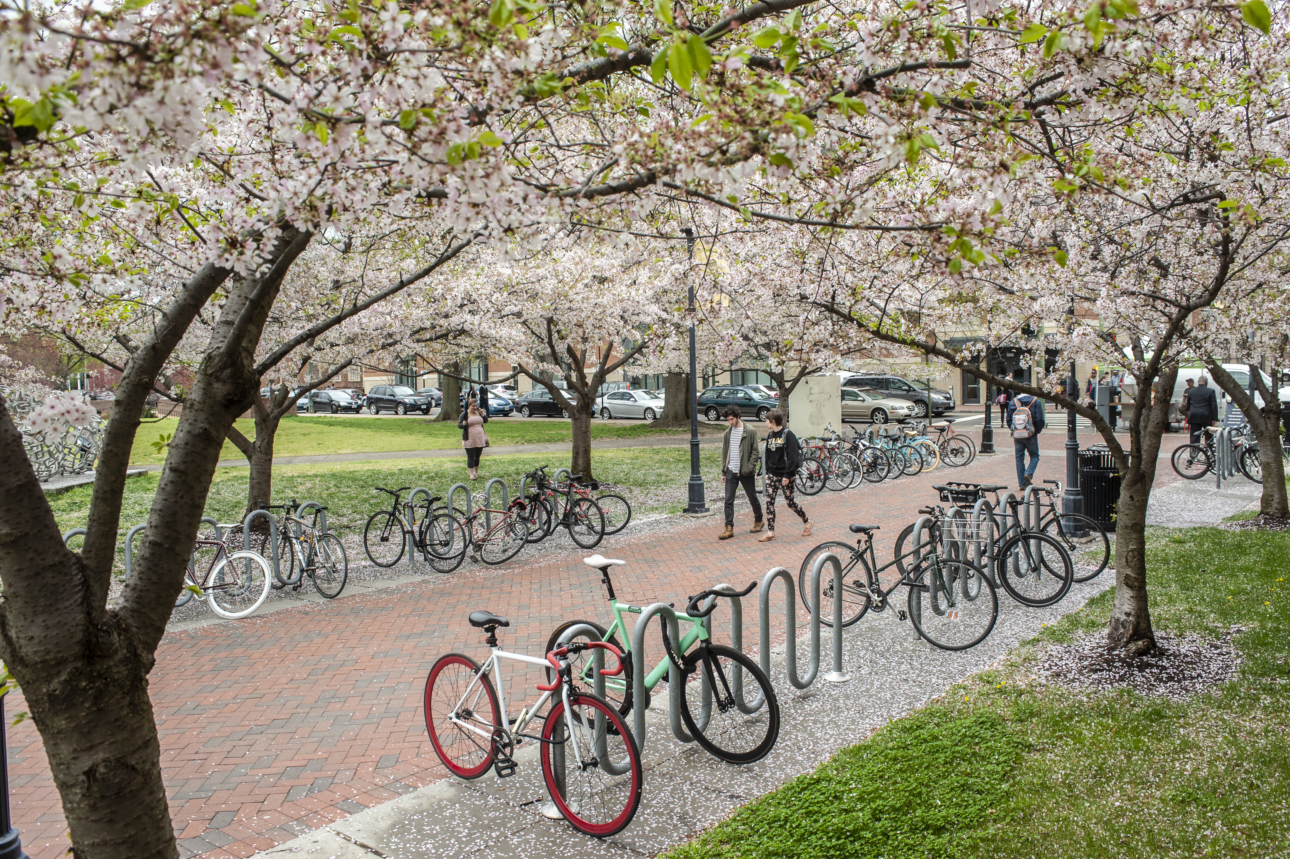 VCU Bikes in Spring