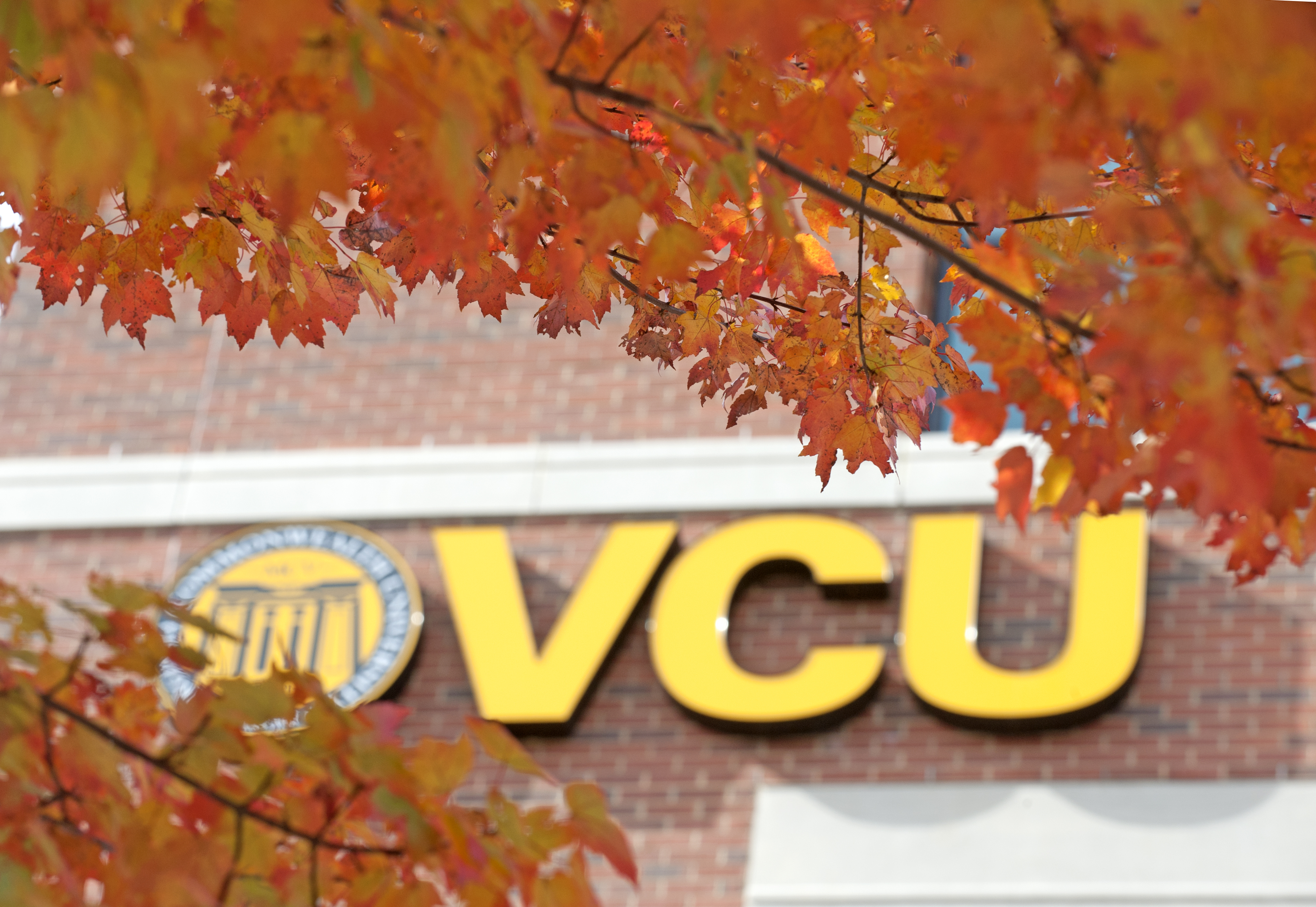 VCU Sign Leaves